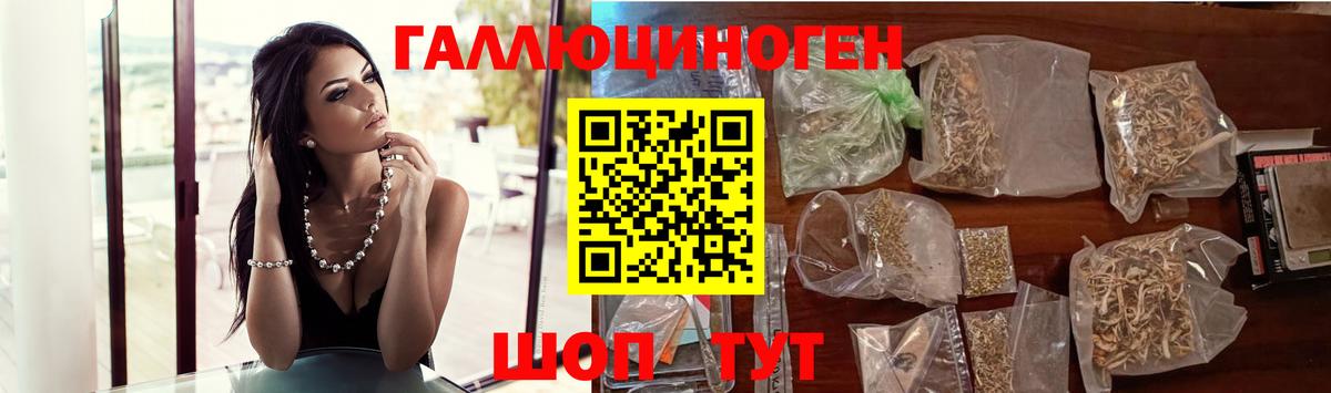 Псилоцибиновые грибы GOLDEN TEACHER  Вход с VPN  Камышин 